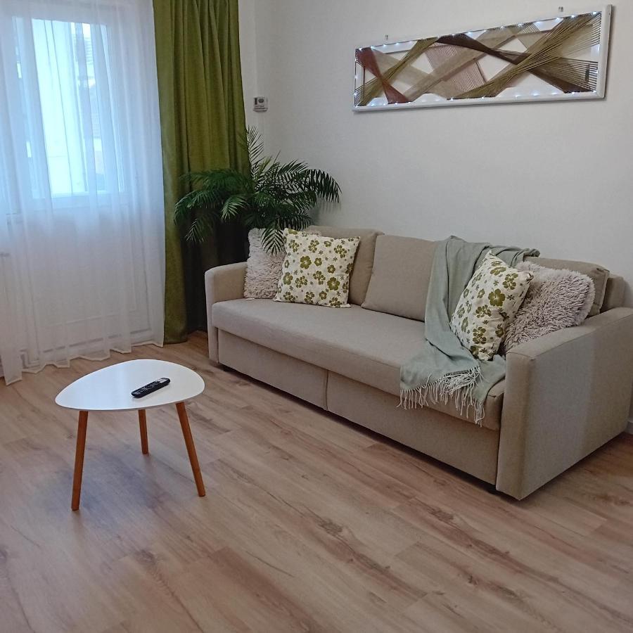 Apartamento Harmonyhouse Braşov Exterior foto