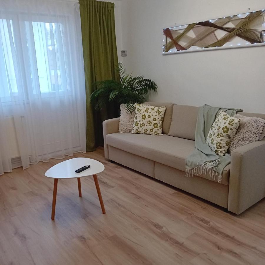 Apartamento Harmonyhouse Braşov Exterior foto